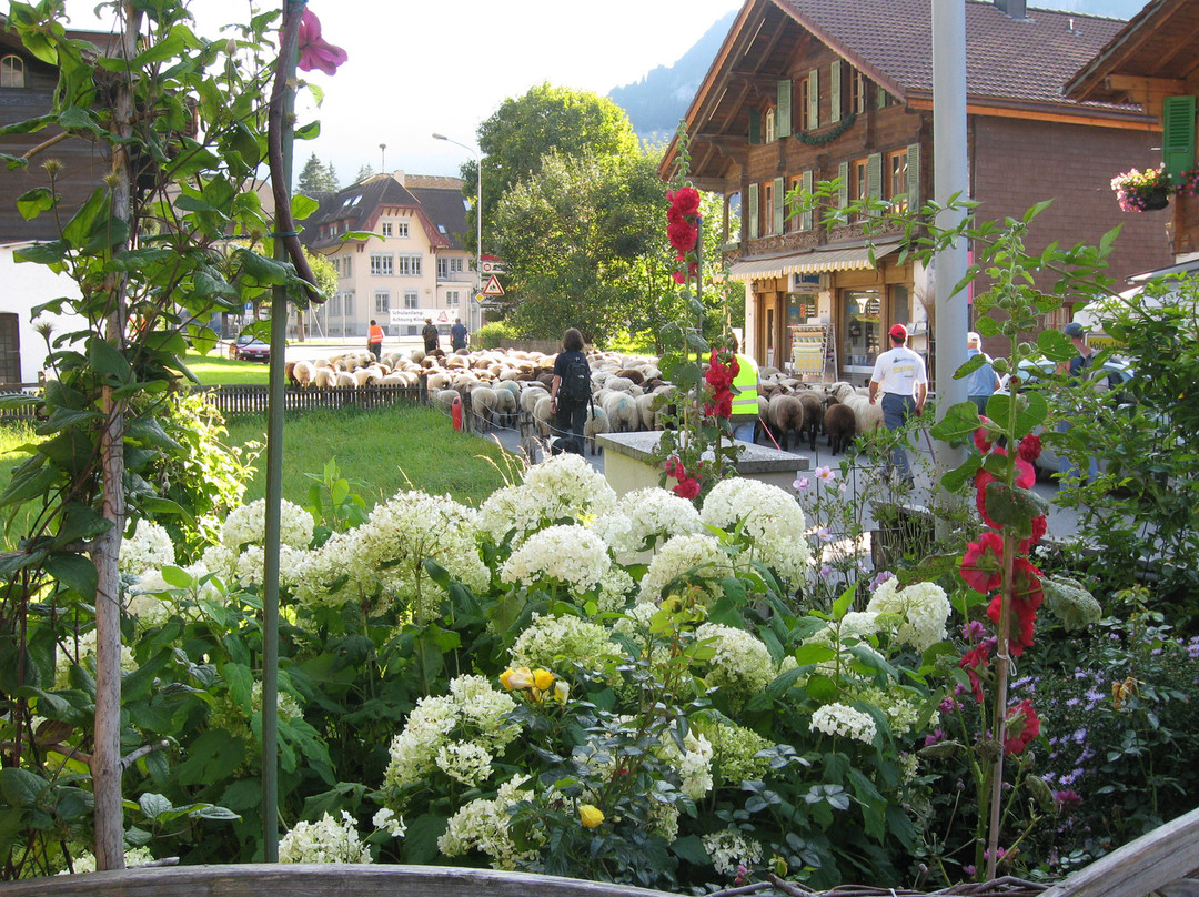 Hotel Alpenblick主图