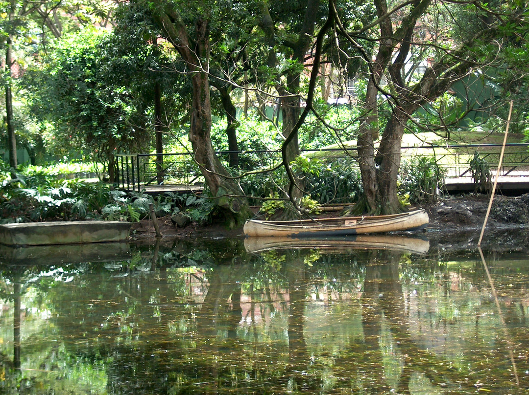 Jardín Botánico de Medellín景点图片