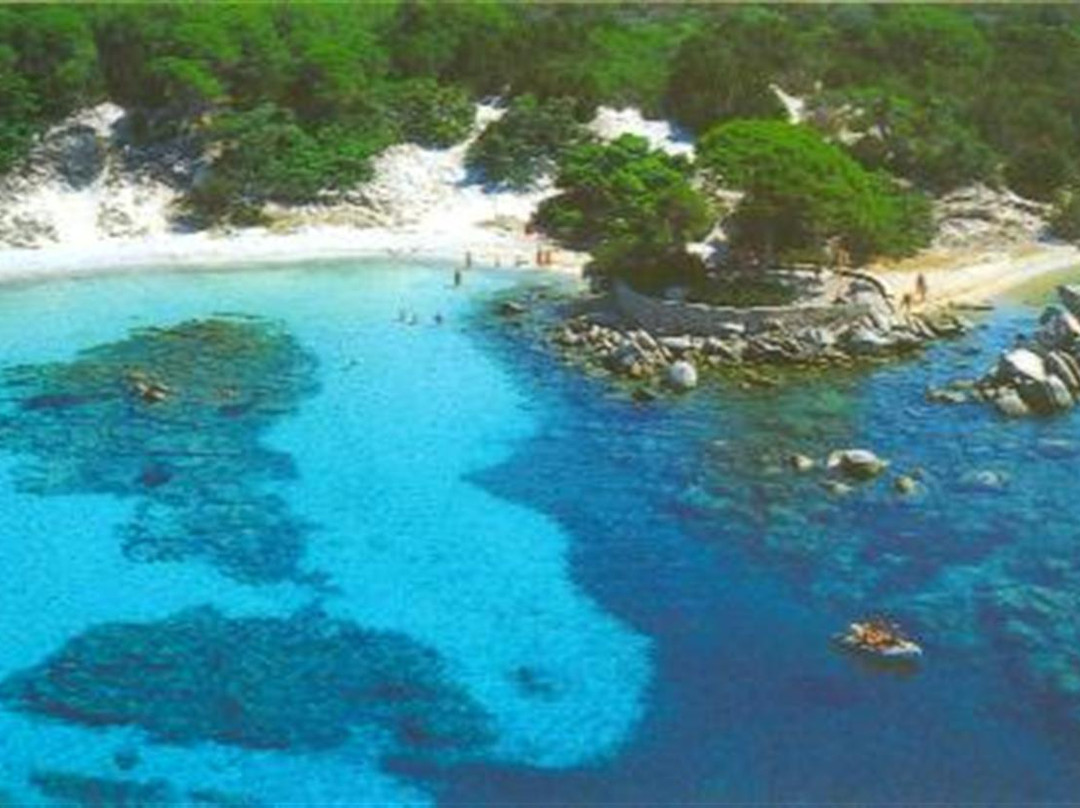 巴隆巴热海滩-维琪奥港必去景点