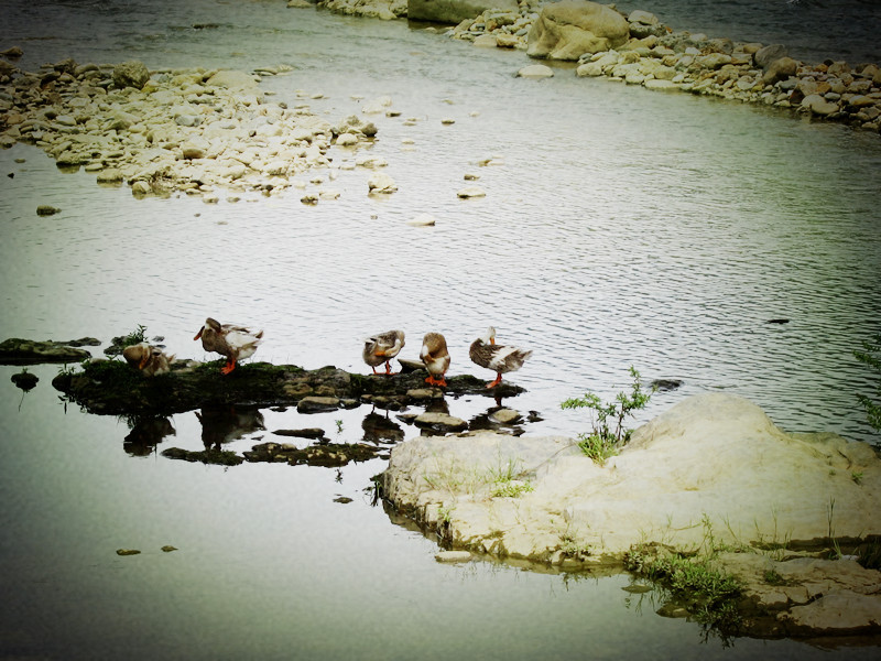 千岛湖九龙溪漂流-淳安县必去景点