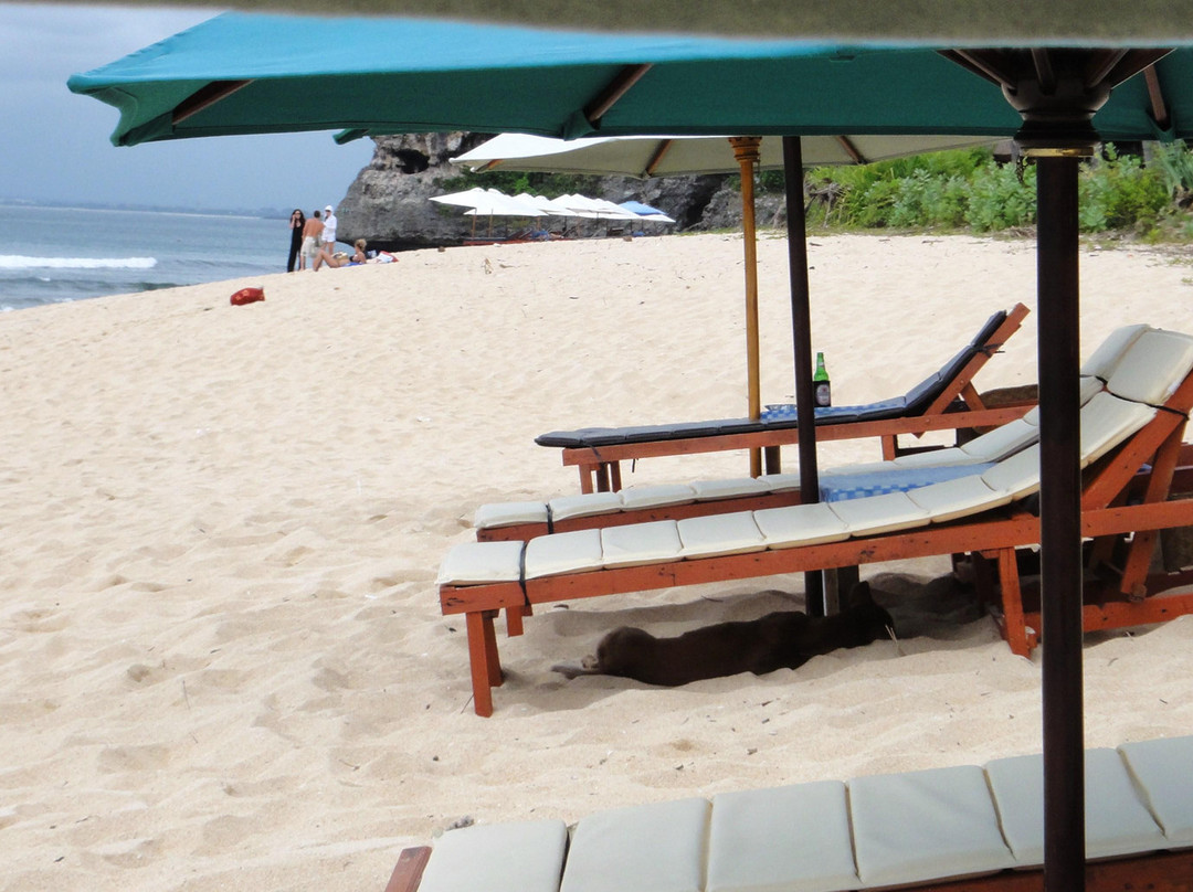 巴兰杠海滩-库塔必去景点