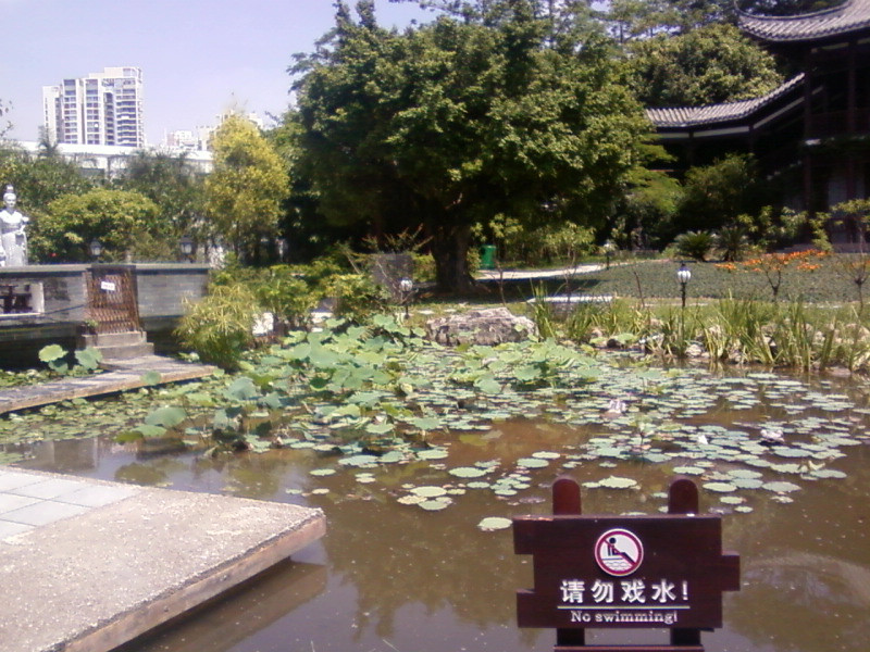 深圳园博园-深圳市必去景点