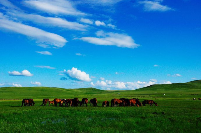 呼伦贝尔古城-呼伦贝尔市必去景点