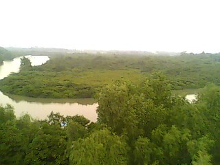 海口红树林-海口市必去景点