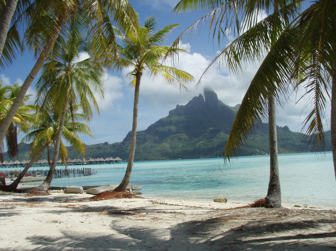 Bora Bora Lagoonarium-瓦伊塔佩必去景点