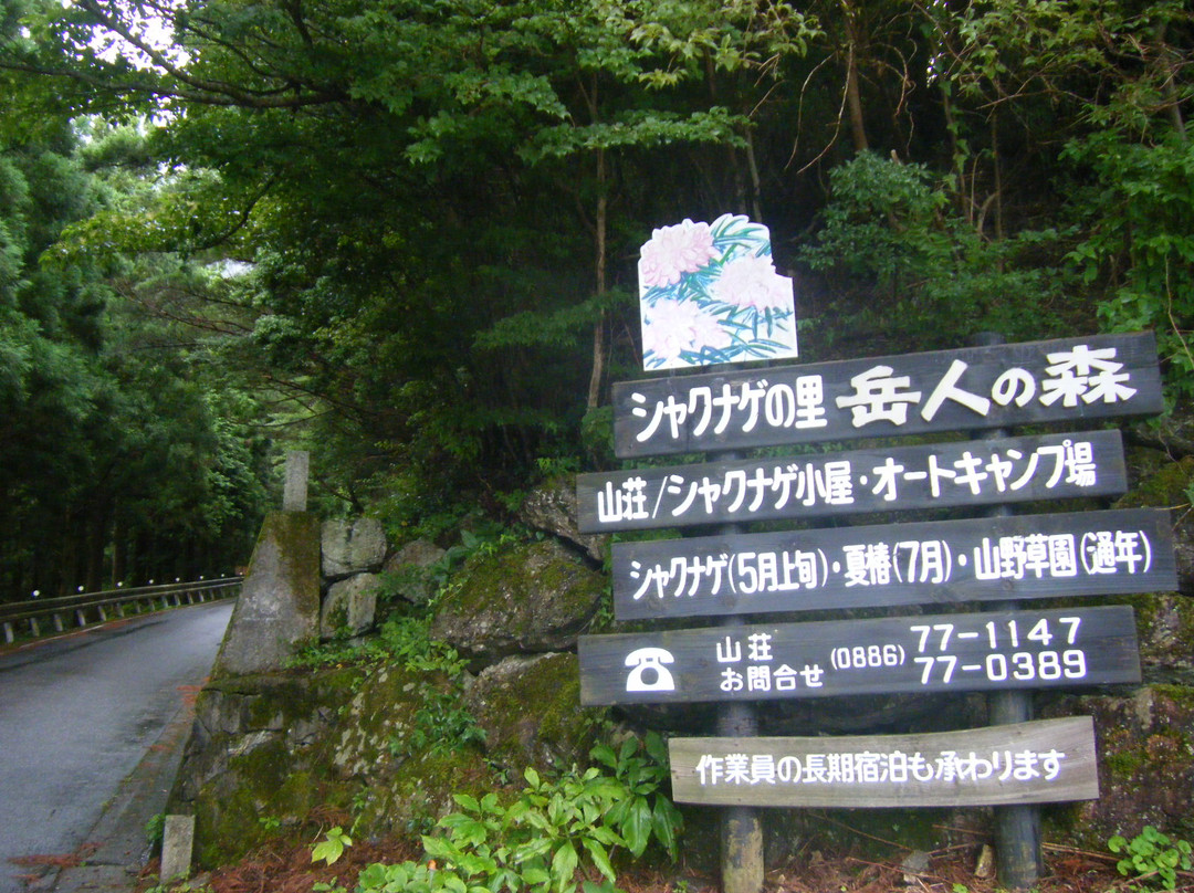 Shikokusangaku Botanical Garden Gakujin no Mori-神山町必去景点