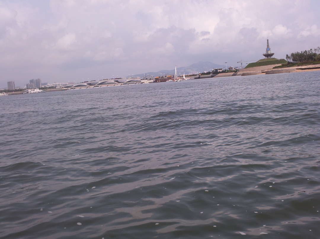 日照海滨森林公园-日照市必去景点