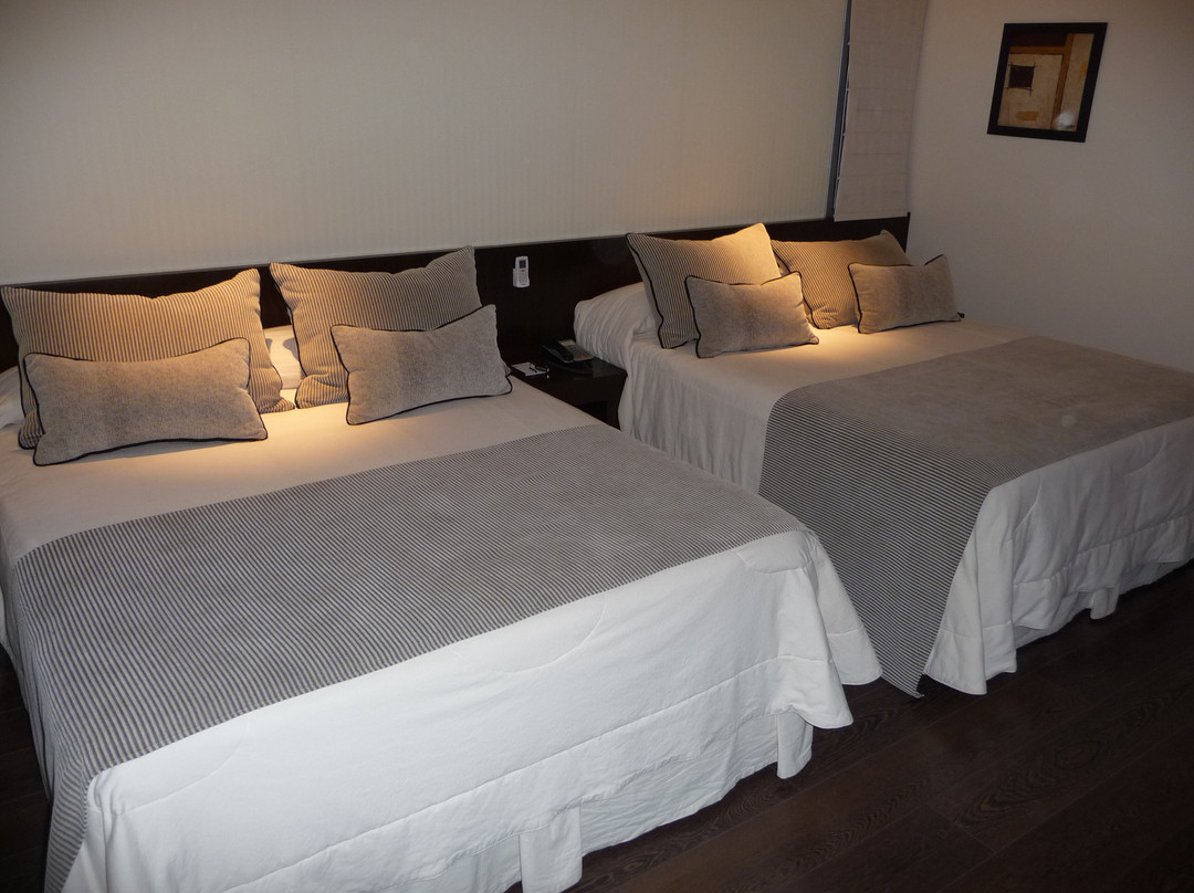 Balcarce酒店住宿-646 Hotel Balcarce