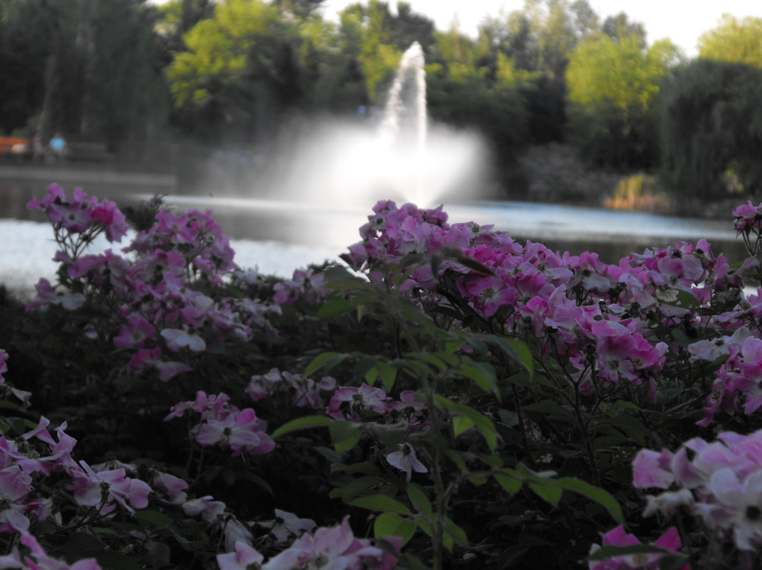 Centennial Lakes Park景点图片