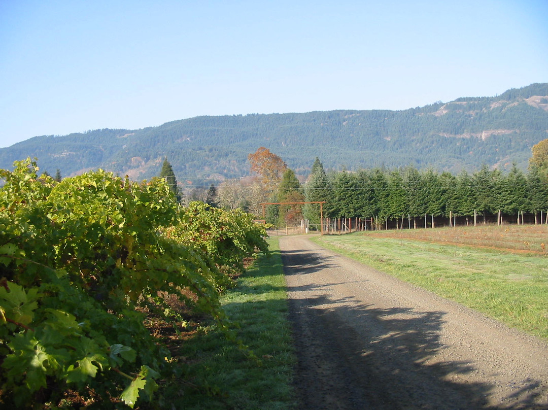 HillCrest Winery and Distillery景点图片