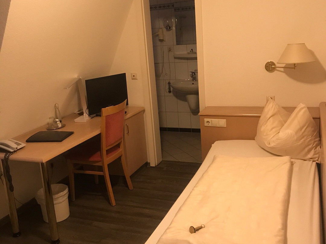 Hotel Zum Hirsch Worth Am Rhein