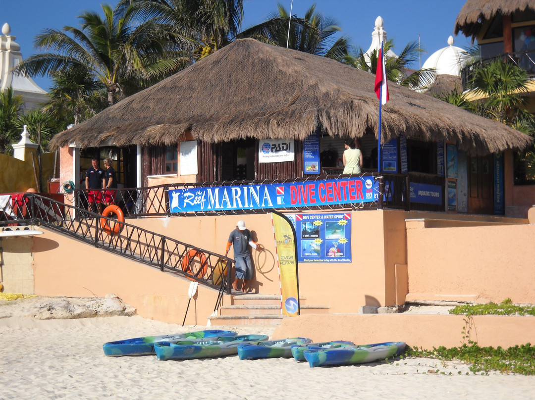 The Reef Marina-普拉亚德尔卡曼必去景点
