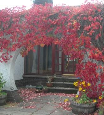 Woodlands Bed and Breakfast, Glenfarg-官方