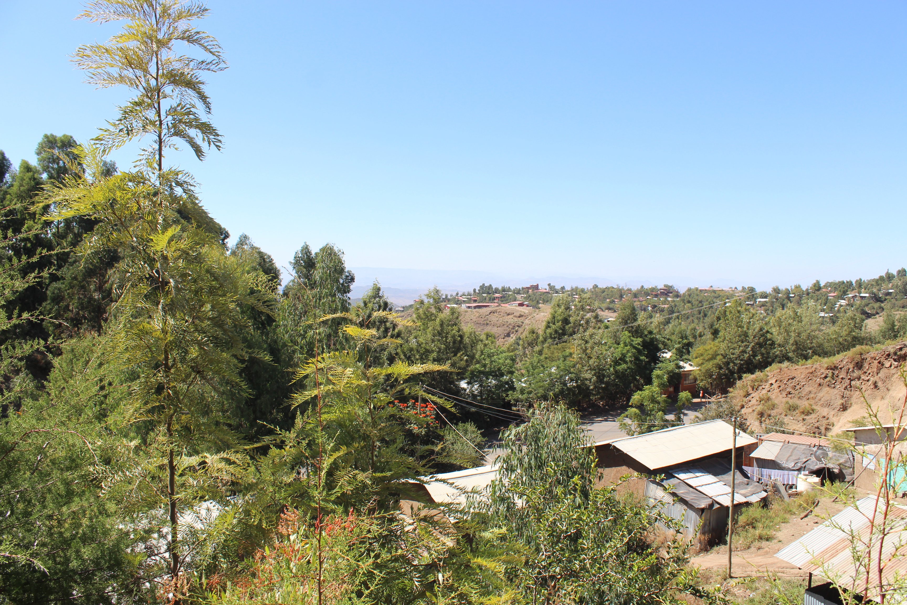 Mini Lalibela Guest House-酒店景观