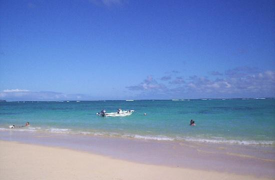 拉尼凯海滩-科纳必去景点