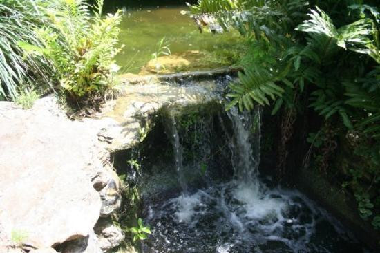 Garden of the Groves-弗里波特必去景点