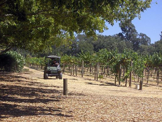 史特林酒庄-卡利斯托加必去景点