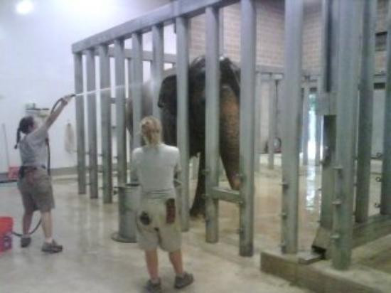 休士顿动物园-休斯顿必去景点