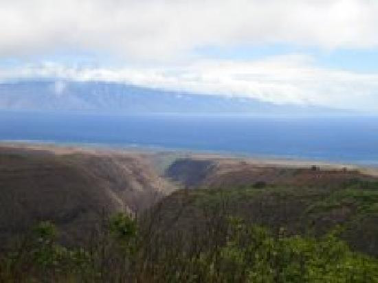 门罗小径-拉奈市必去景点
