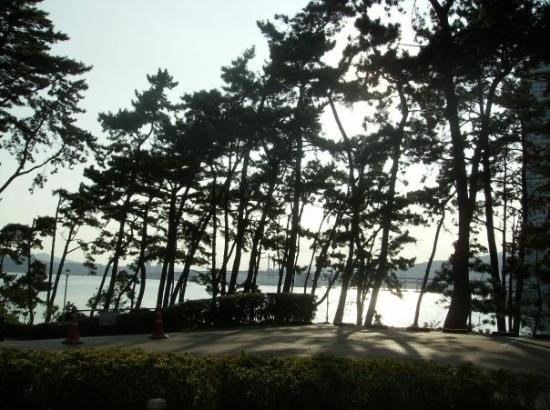 海云台海水浴场-釜山必去景点