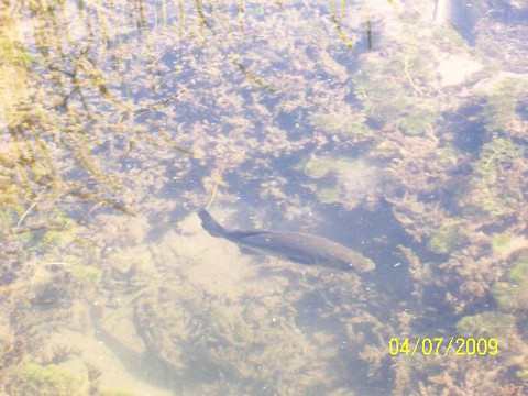 The Meadows Center For Water And The Environment-圣马科斯必去景点