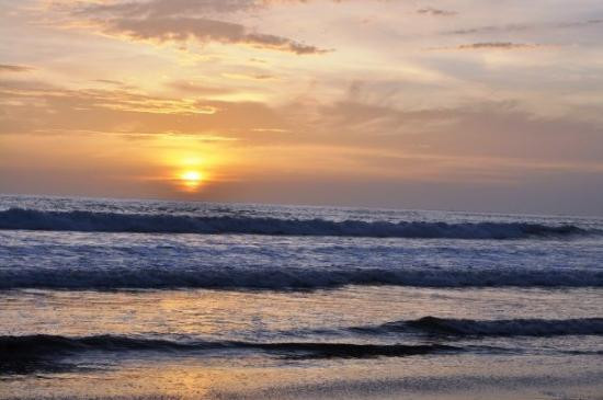 Las Baulas National Marine Park-大滩必去景点