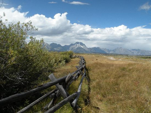 Wildlife Expeditions of Teton Science Schools-杰克逊必去景点