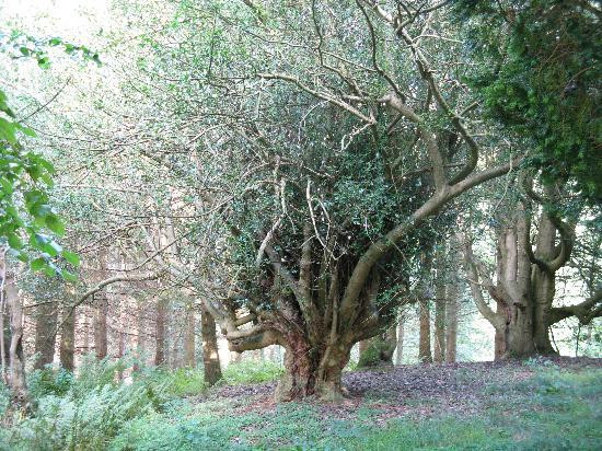 Chillingham Castle-阿尼克必去景点