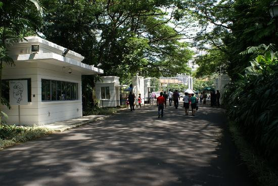 王宫-新加坡必去景点