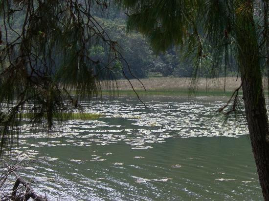 Berijam Lake-科代卡纳尔必去景点