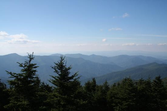Mount Mitchell State Park景点图片