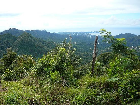Mount Qua Qua Grenada-Grand Etang National Park必去景点