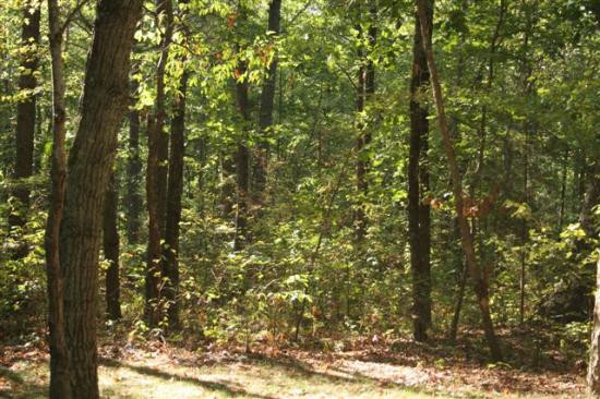 Cloudland Canyon State Park-Rising Fawn必去景点