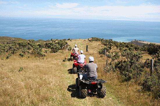 Wellington Adventures - Day Trip-惠灵顿必去景点