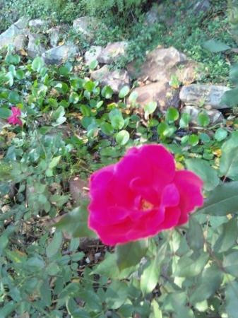 Grapevine Lake-葡萄藤必去景点