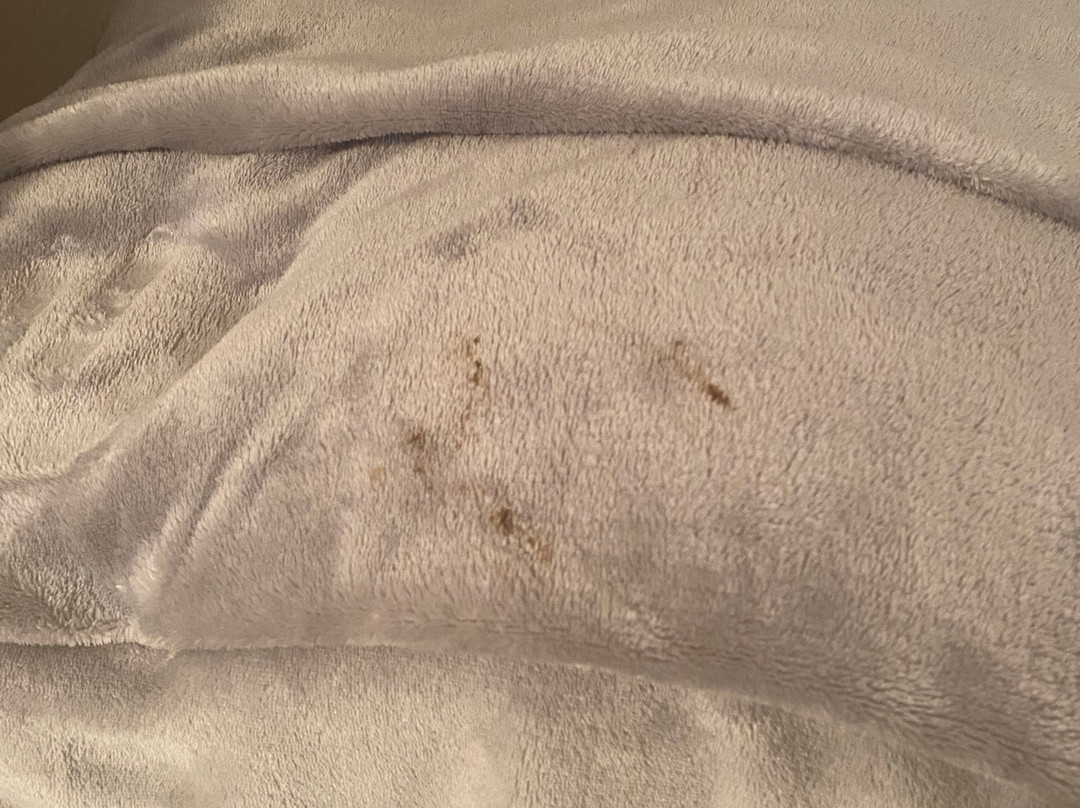 迈阿密海滨公寓主图