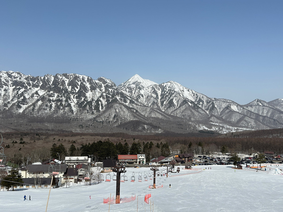 Togakushi Ski Area景点图片
