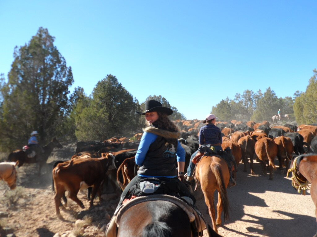 The Ranch At Wild Rose景点图片