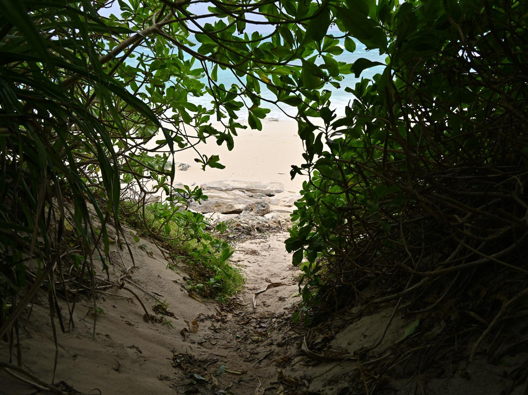 Nagamahama Beach Coast景点图片