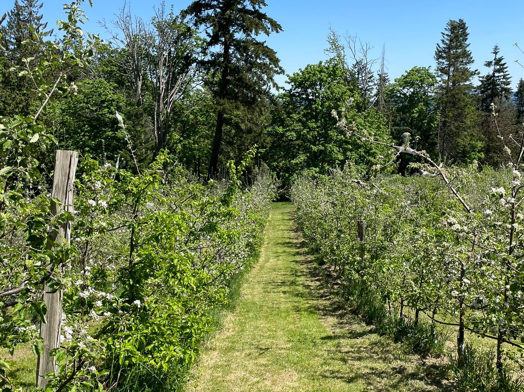 Ciderworks景点图片