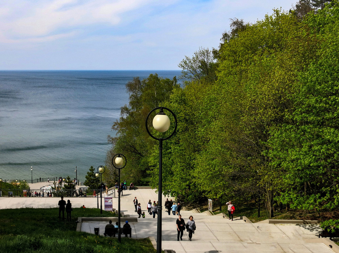 Svetlogorsk Embankment景点图片
