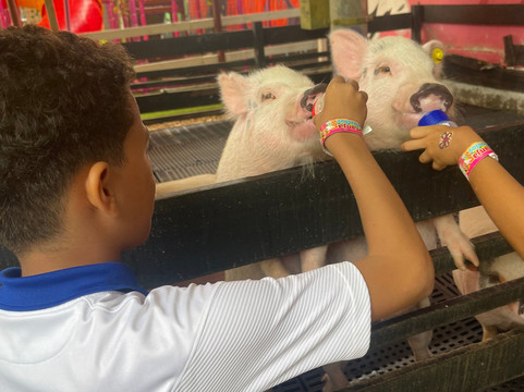 Granja Los Abuelos Cartagena-卡塔赫纳必去景点