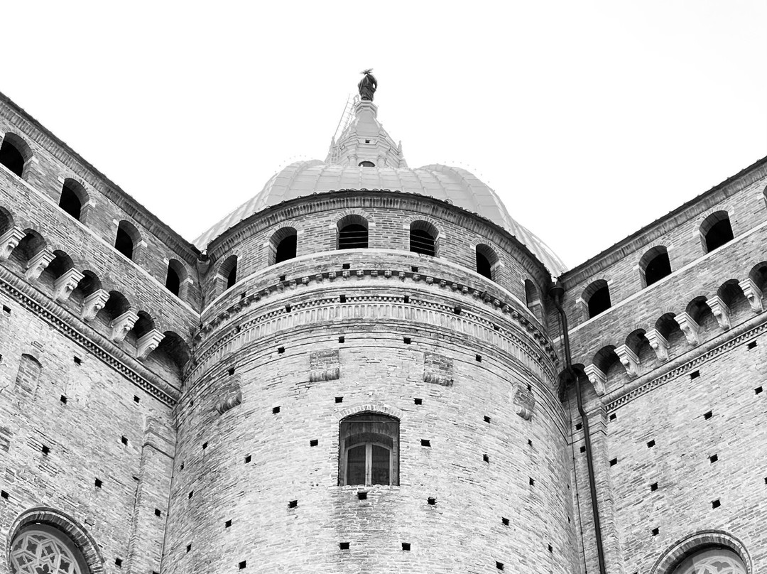 Collina D'oro主图