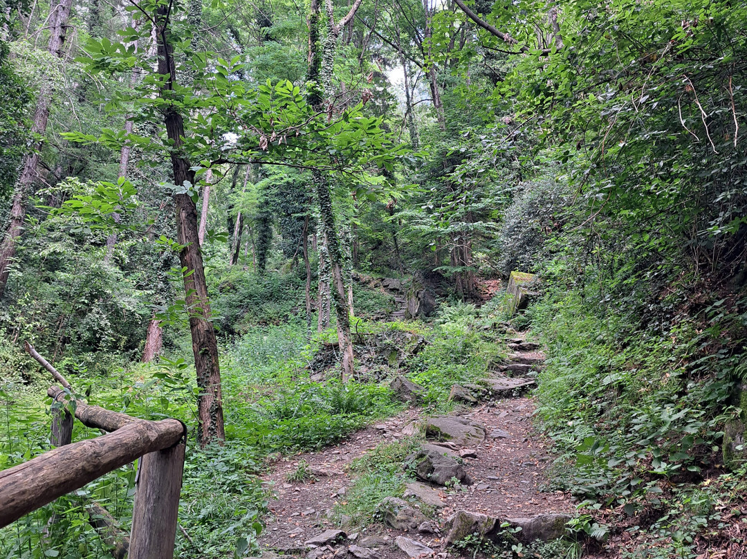 Parco delle Marmitte dei Giganti-Chiavenna必去景点