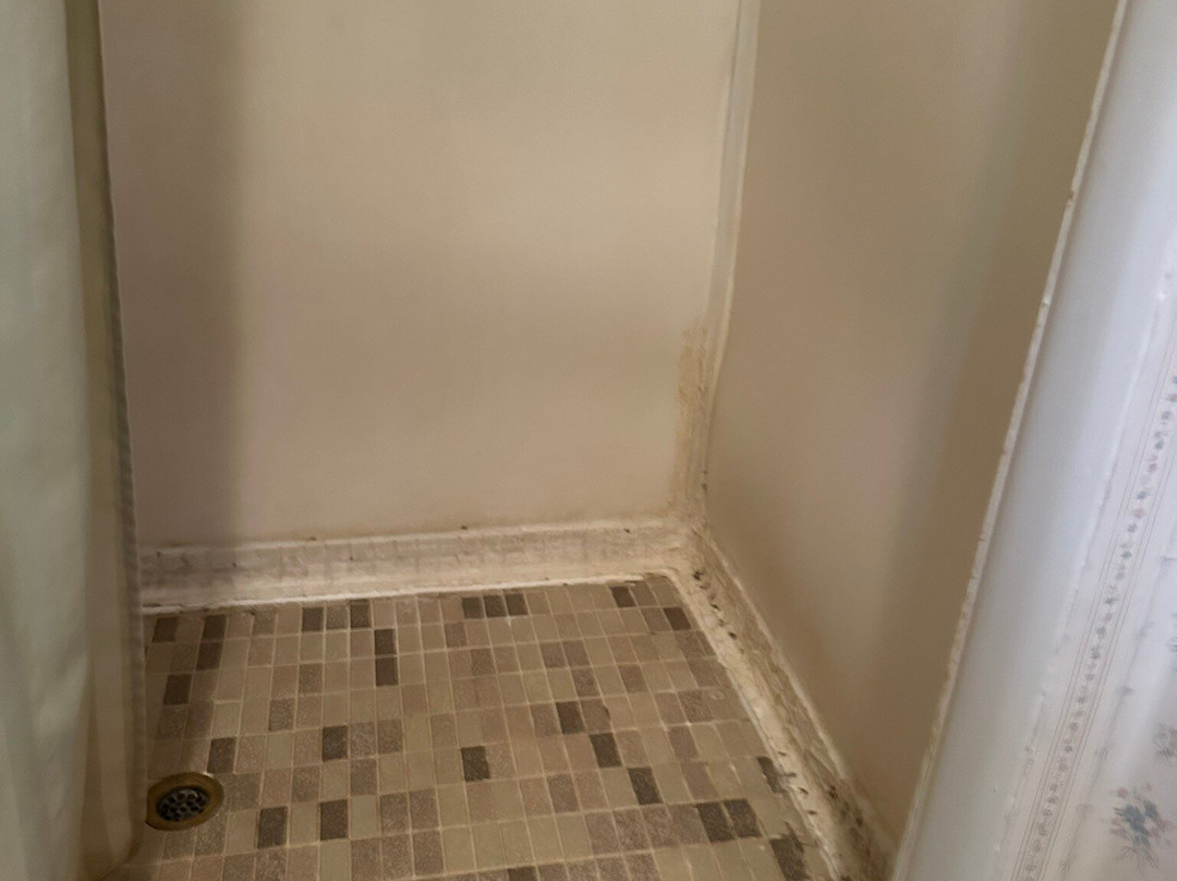 The Pines Country Inn主图