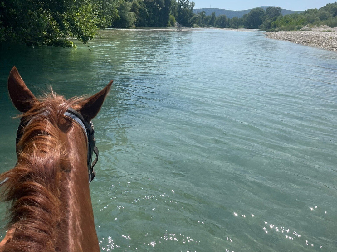 Riverdream Club-Glyki必去景点