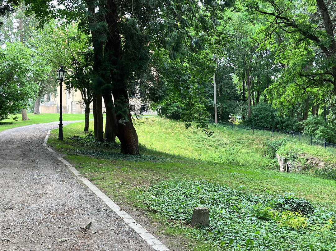 Seeliger Park景点图片