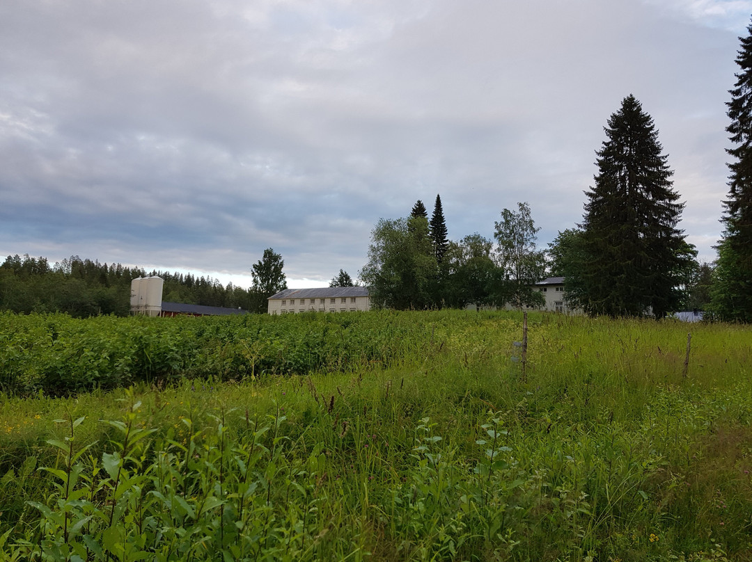 Karvio酒店住宿-Valamon Luostari