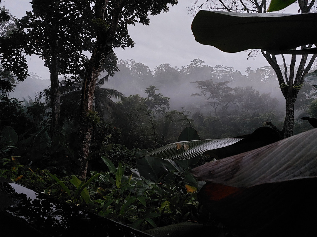 坦加羽达考曼卡酒店主图