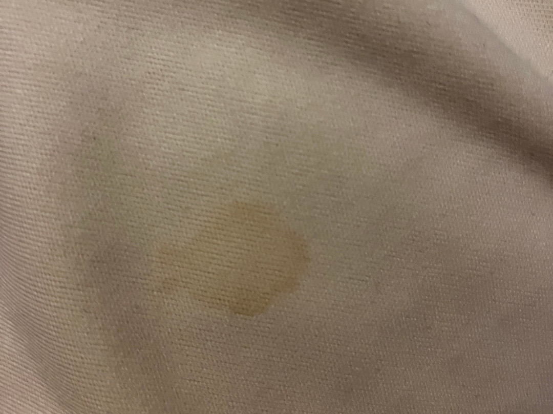 Hôtel de la Rive主图